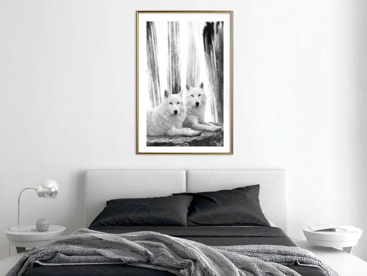 Poster Forest Love - pair of wolves lying on a rock in black and white style 126357 additionalImage 13