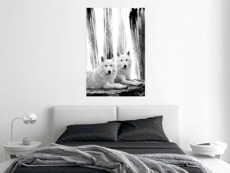 Poster Forest Love - pair of wolves lying on a rock in black and white style 126357 additionalImage 2