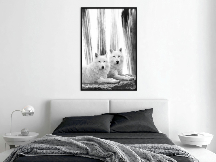 Poster Forest Love - pair of wolves lying on a rock in black and white style 126357 additionalImage 4