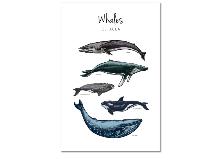 Canvas Whales (1 Part) Vertical 126857