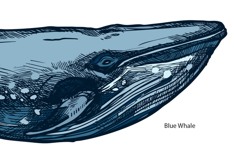 Canvas Whales (1 Part) Vertical 126857 additionalImage 5
