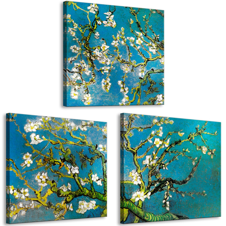Canvas Art Print Blooming Almond Tree (3-part) - twisted tree with white flowers 128757 additionalImage 2
