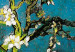 Canvas Art Print Blooming Almond Tree (3-part) - twisted tree with white flowers 128757 additionalThumb 4