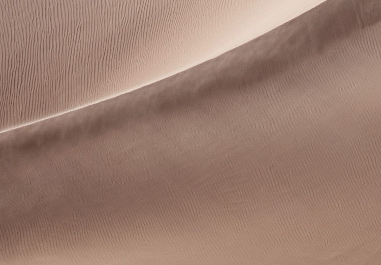 Canvas Art Print Sandy Fabric (1-part) vertical - landscape of the Arabian desert 129457 additionalImage 4