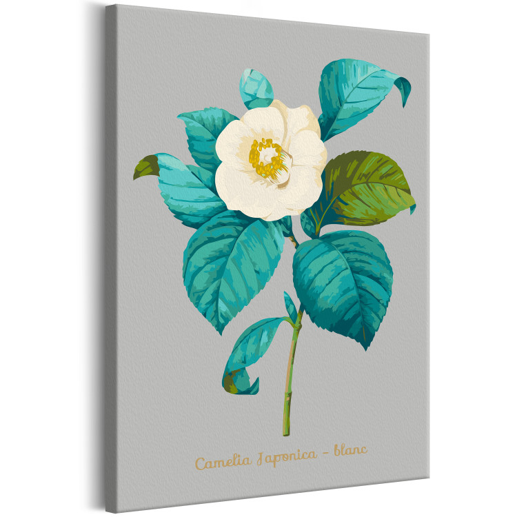 Paint by Number Kit Beautiful Camellia 131457 additionalImage 5