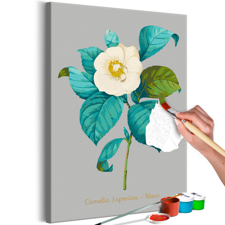 Paint by Number Kit Beautiful Camellia 131457 additionalImage 3