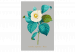 Paint by Number Kit Beautiful Camellia 131457 additionalThumb 7