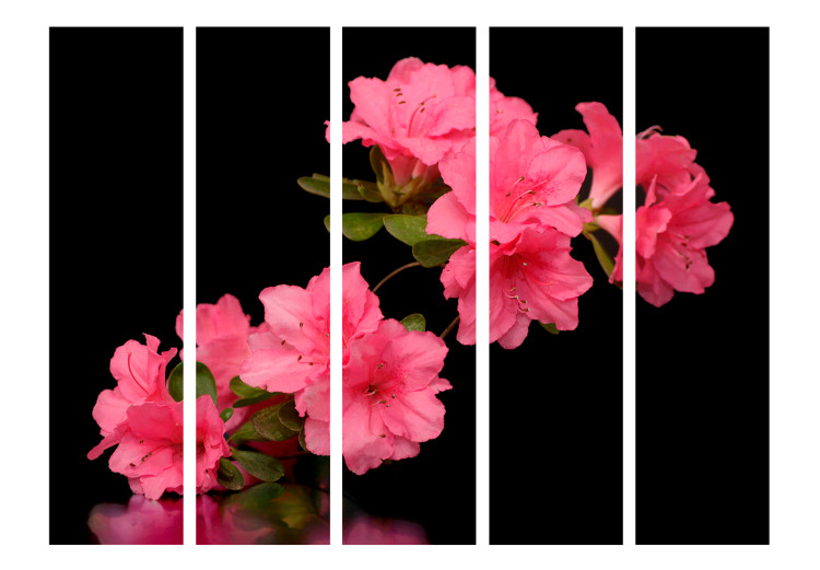 Room Divider Screen Azalea in Black II - romantic flowers on a black background 133957 additionalImage 3