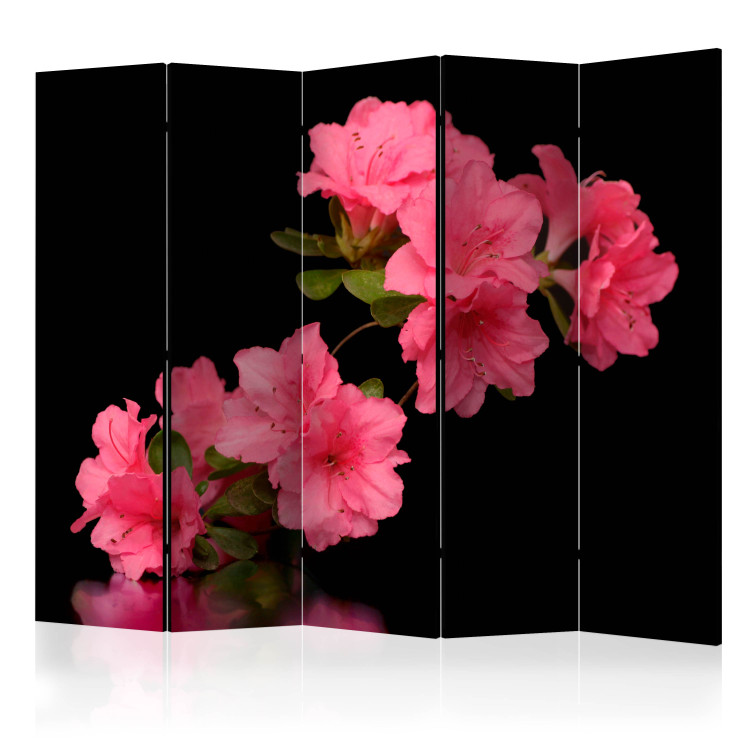 Room Divider Screen Azalea in Black II - romantic flowers on a black background 133957