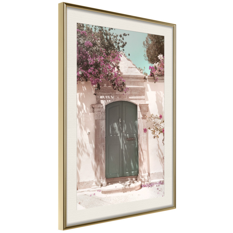 Poster Charming Alley - architecture of a wall with a green entrance in the sunlight 135757 additionalImage 4