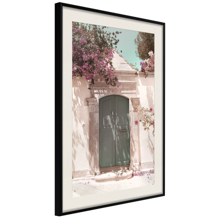 Poster Charming Alley - architecture of a wall with a green entrance in the sunlight 135757 additionalImage 8