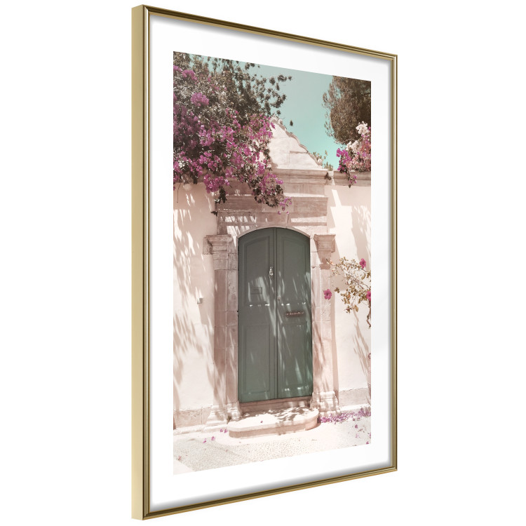 Poster Charming Alley - architecture of a wall with a green entrance in the sunlight 135757 additionalImage 3