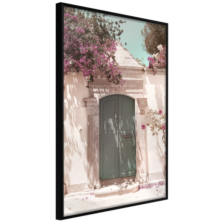 Poster Charming Alley - architecture of a wall with a green entrance in the sunlight 135757 additionalImage 6