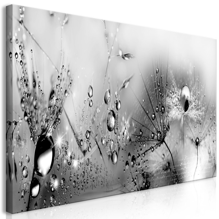 Large canvas print Drop of Naturalness II [Large Format] 136357 additionalImage 2