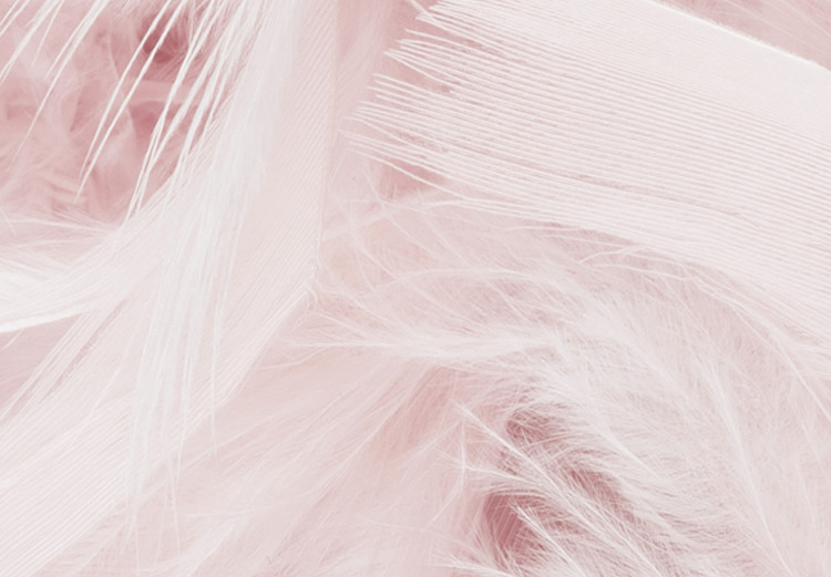 Poster Pink Feathers - fluffy pastel composition with English text 136457 additionalImage 3