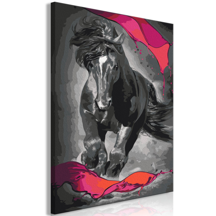 Paint by Number Kit Mysterious Horse 142757 additionalImage 4