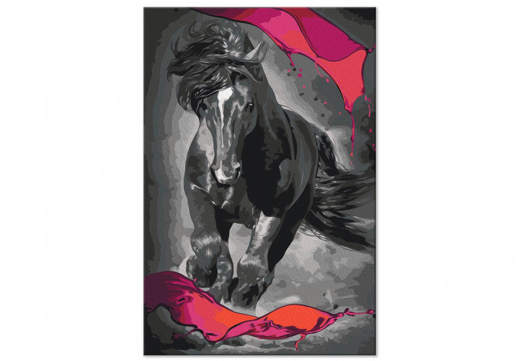 Paint by Number Kit Mysterious Horse 142757 additionalImage 3