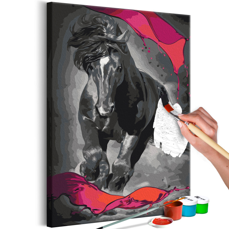 Paint by Number Kit Mysterious Horse 142757 additionalImage 5