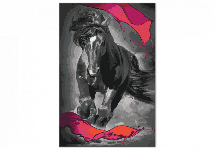 Paint by Number Kit Mysterious Horse 142757 additionalImage 6