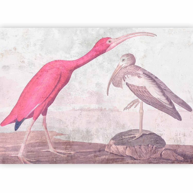 Wall Mural Scarlet ibis - pink wild bird by John James Audubon 144657 additionalImage 1