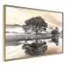 Poster Misty Landscape - Mountains and Trees Reflecting in the Lake’s Surface 147657 additionalThumb 6
