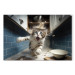 Canvas Art Print AI Cat - Animal Escaping From the Kitchen After Breaking Supplies - Horizontal 150257