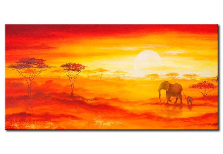 Canvas Print Desert in the sunset 49457