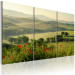 Canvas Print Poppies on Tuscany fields 58657 additionalThumb 2