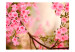 Photo Wallpaper Pink Azaleas - Close-up of Flowers on a Bright Blurred Plant Background 60457 additionalThumb 1