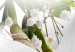 Photo Wallpaper Royal white - white lilies on a textured solid fabric background 94957 additionalThumb 3