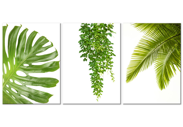 Canvas Beautiful Palm Trees (3 Parts) 108567