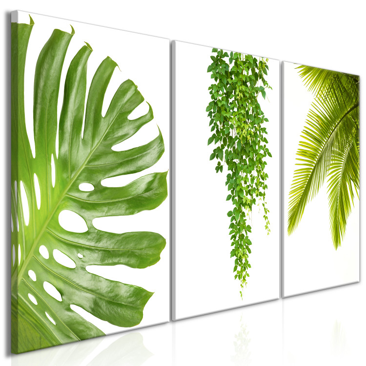 Canvas Beautiful Palm Trees (3 Parts) 108567 additionalImage 2