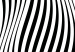 Canvas Psychedelic Waves (1-part) - Abstraction in Black and White Background 115067 additionalThumb 5