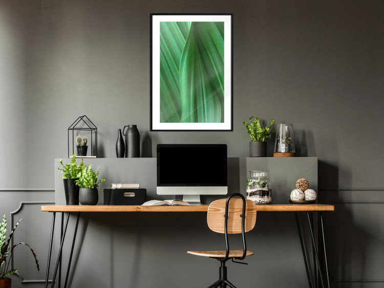 Poster Leaf Texture - composition with a green plant motif 116967 additionalImage 4
