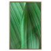 Poster Leaf Texture - composition with a green plant motif 116967 additionalThumb 20
