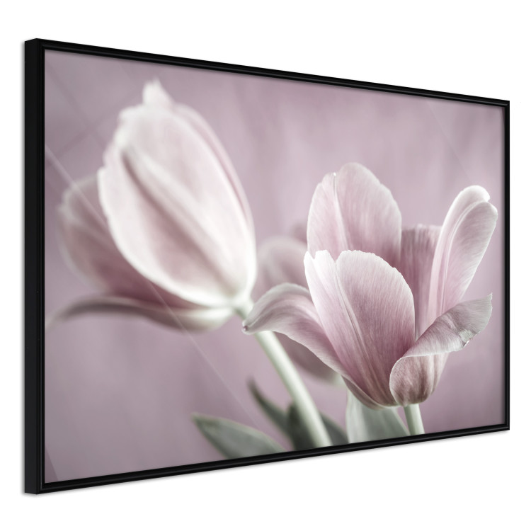 Gallery wall Tulip Dream II 124867 additionalImage 4