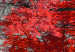 Canvas Autumn in the Park (5 Parts) Wide Red 122767 additionalThumb 4