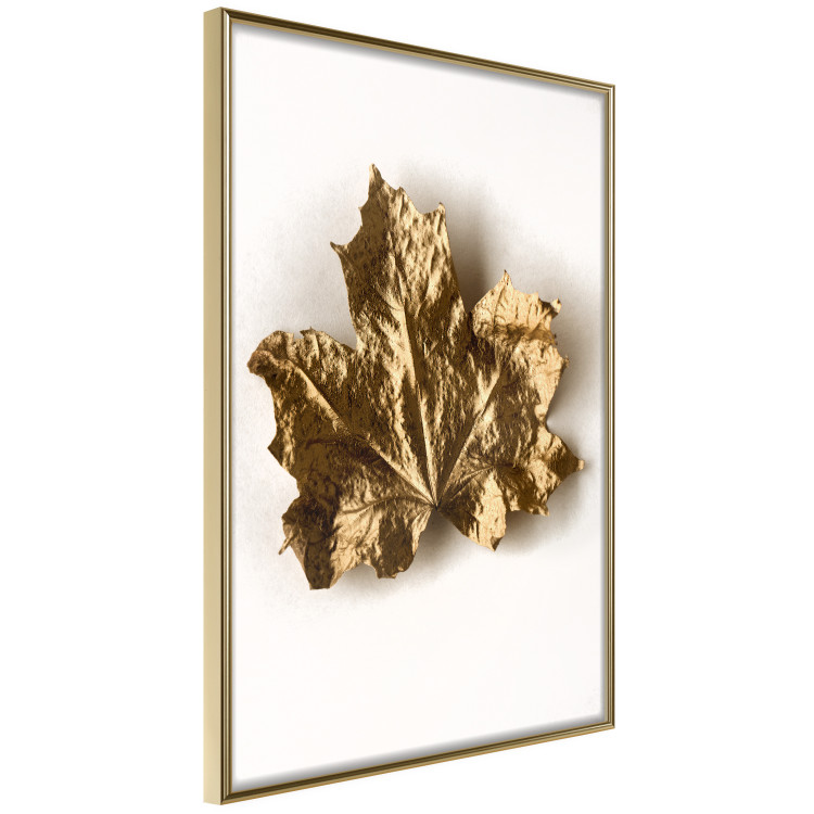 Poster Golden Maple - leaf covered with a thin layer of gold lying on white background 124967 additionalImage 12