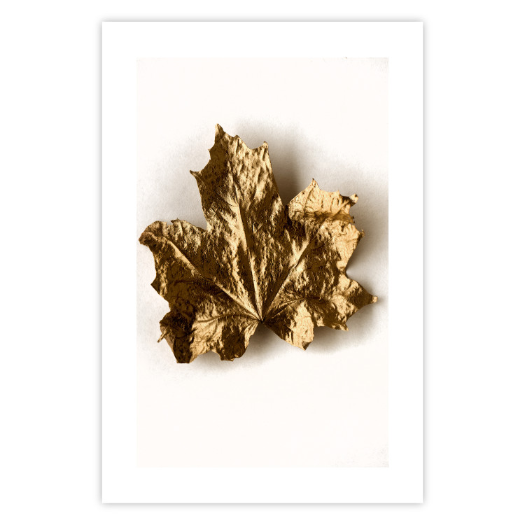 Poster Golden Maple - leaf covered with a thin layer of gold lying on white background 124967 additionalImage 16