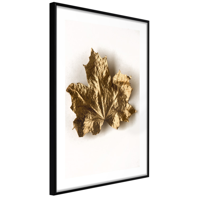 Poster Golden Maple - leaf covered with a thin layer of gold lying on white background 124967 additionalImage 11