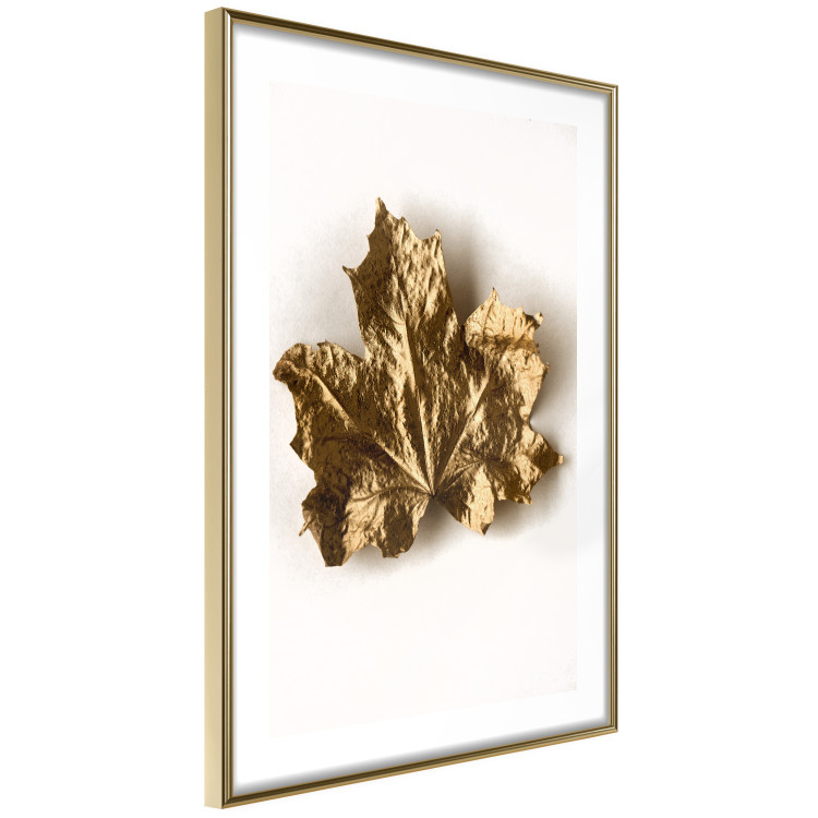Poster Golden Maple - leaf covered with a thin layer of gold lying on white background 124967 additionalImage 6
