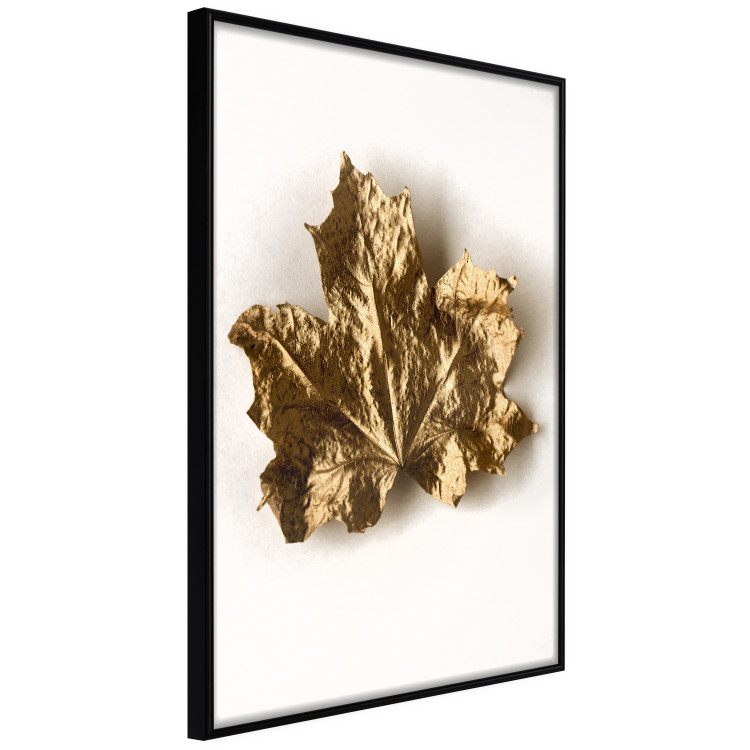 Poster Golden Maple - leaf covered with a thin layer of gold lying on white background 124967 additionalImage 10