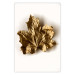 Poster Golden Maple - leaf covered with a thin layer of gold lying on white background 124967