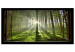 Large canvas print Dawn in the Forest II [Large Format] 125567