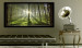 Large canvas print Dawn in the Forest II [Large Format] 125567 additionalThumb 5