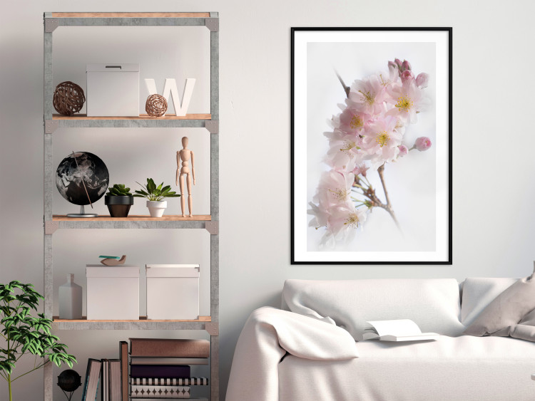 Poster Spring in Japan - branch with pink flowers on a bright white background 125867 additionalImage 6