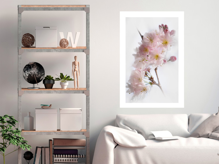 Poster Spring in Japan - branch with pink flowers on a bright white background 125867 additionalImage 4