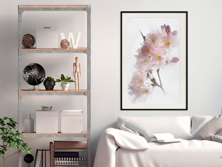 Poster Spring in Japan - branch with pink flowers on a bright white background 125867 additionalImage 21