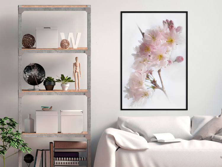 Poster Spring in Japan - branch with pink flowers on a bright white background 125867 additionalImage 5