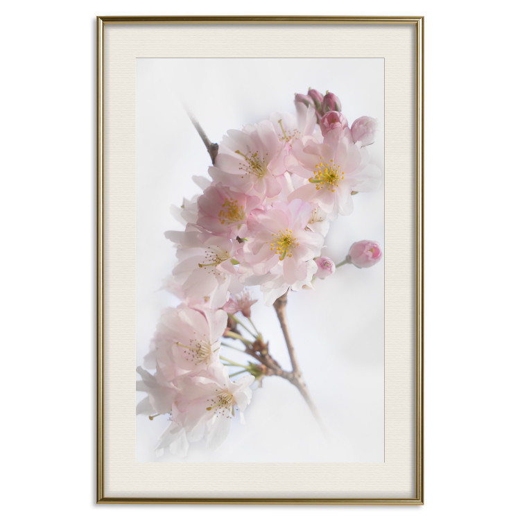 Poster Spring in Japan - branch with pink flowers on a bright white background 125867 additionalImage 23